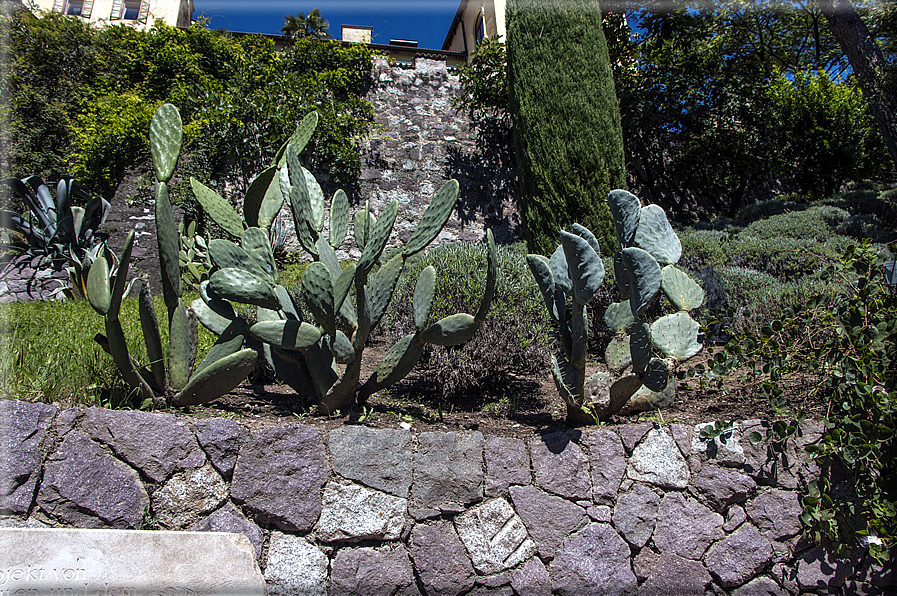 foto Giardini Trauttmansdorff - Giardini del Sole